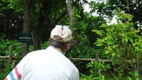 �C�b�R�E��������