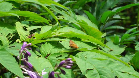 �E���M���q���E����