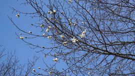 �L�^�R�u�V