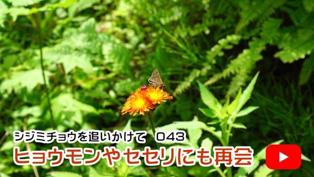 �q���E������Z�Z���ɂ��ĉ�