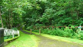 �T�C�N�����O���[�h����