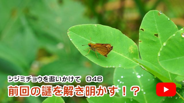 �O��̓�������������I�H