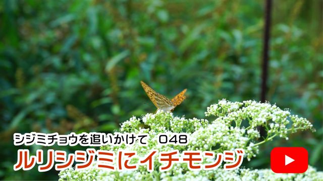 �����V�W�~�ɃC�`�����W