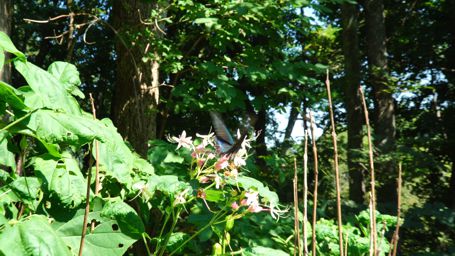 �~���}�J���X�A�Q�n