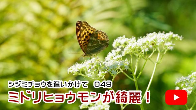 �~�h���q���E�������Y��I