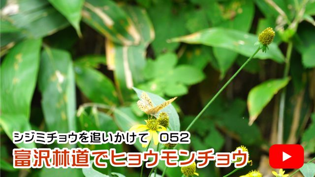�x��ѓ��Ńq���E�����`���E