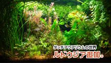 ���h�E�W�A�ǉ�