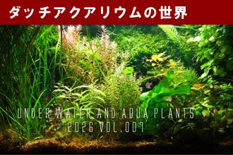 ダッチアクアリウムの世界