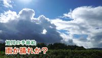 旭川の季節絵