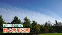 旭川の季節絵