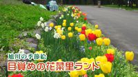 旭川の季節絵