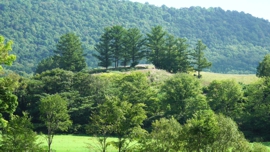 牧草の丘