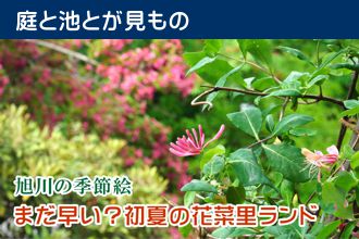 旭川の季節絵