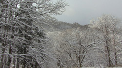 降雪後の富沢