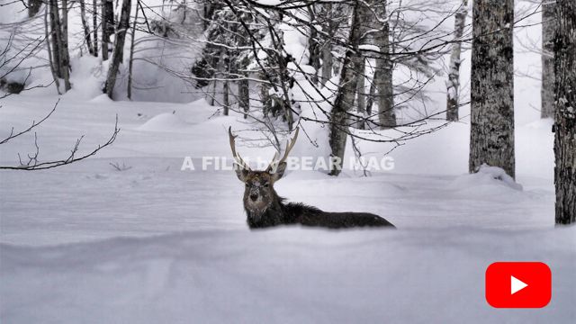 �v�����[�V��������