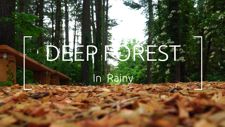 Deep forest