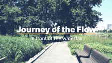 Journey of the Flow