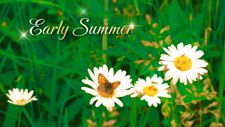 Early summer