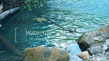 Water trip