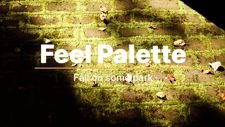 Feel Palette