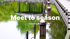meet to season