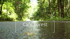 Cafe Forest