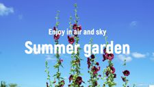 Summer garden