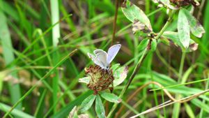 �V�W�~�`���E��ǂ�������