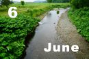 6 June
