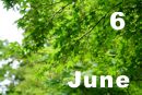 6 June