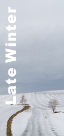 Late Winter