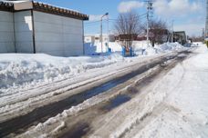 雪融け