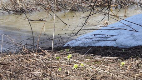 �t�L�m�g�E