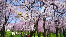 癒しの扉
