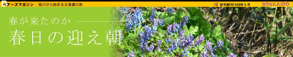 �t���̌}����