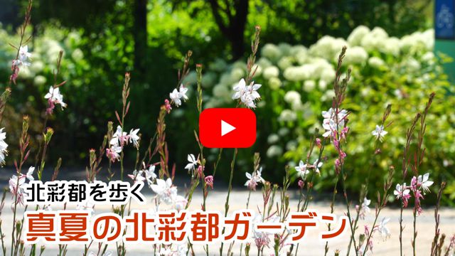 �^�Ă̖k�ʓs�K�[�f��