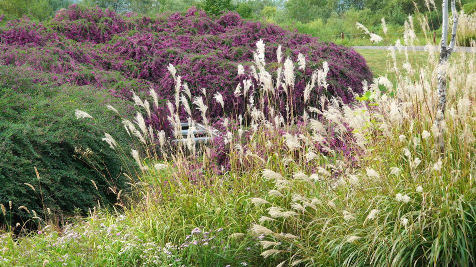 �X�X�L�Ɣ�