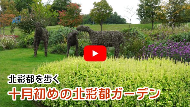 �\�����߂̖k�ʓs�K�[�f��