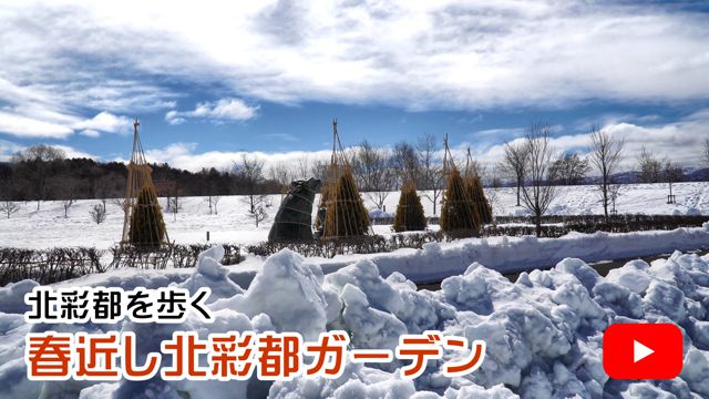 �t�߂��k�ʓs�K�[�f��