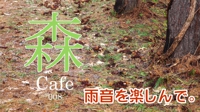森Cafe