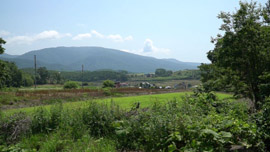 田舎の情景