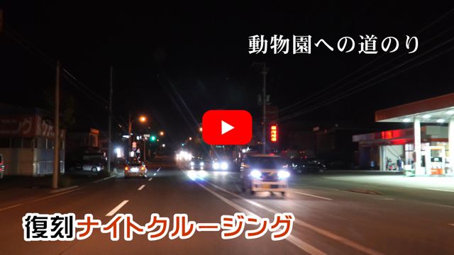 �������ւ̓��̂�