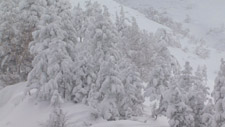 冬の十勝岳温泉