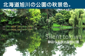 Silent tokiwa