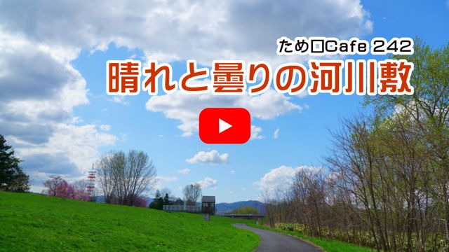 晴れと曇りの河川敷