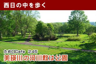 ため口Cafe