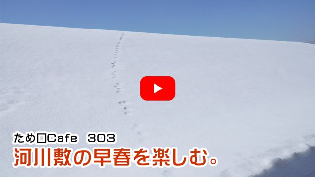 �͐�~�̑��t���y����