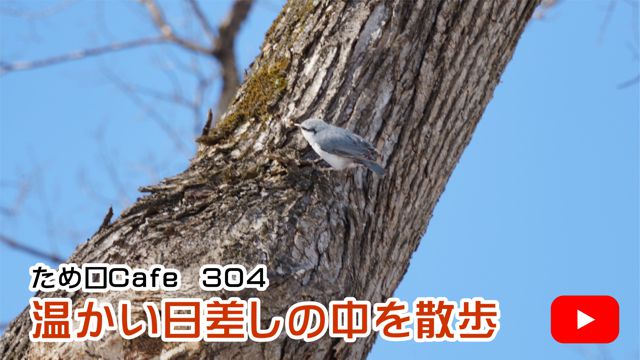 �������������̒����U��