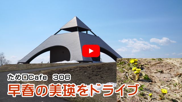 ���t�̔��l���h���C�u