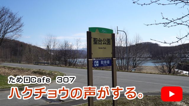 �n�N�`���E�̐�������